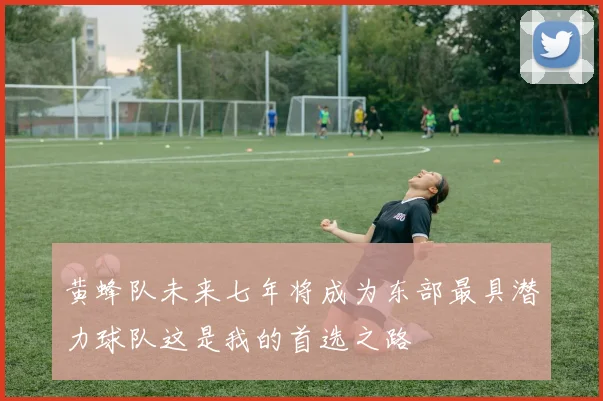 黄蜂队未来七年将成为东部最具潜力球队这是我的首选之路